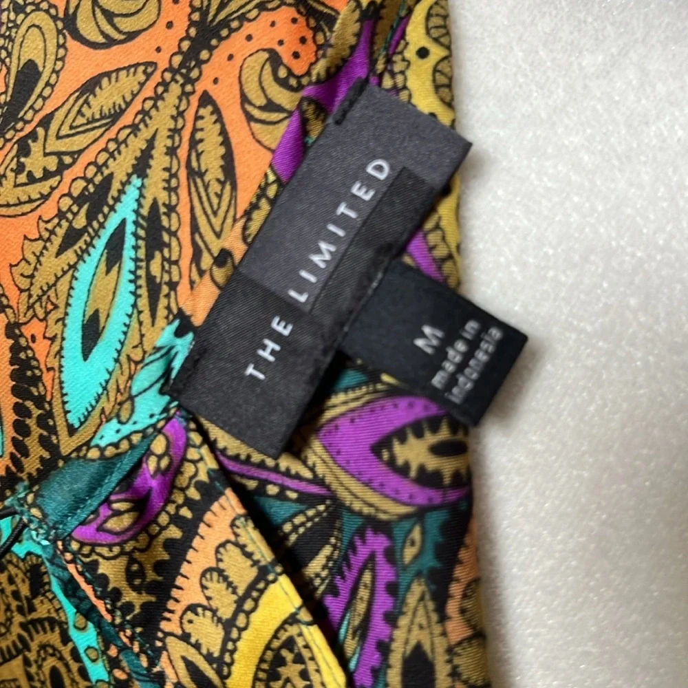 The Limited Multi colored blouse size medium - Picture 4 of 5